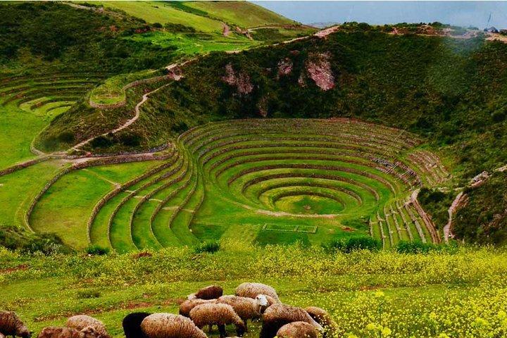 Excursion to Chinchero - Moray - Salt Mines || Private Tour ||