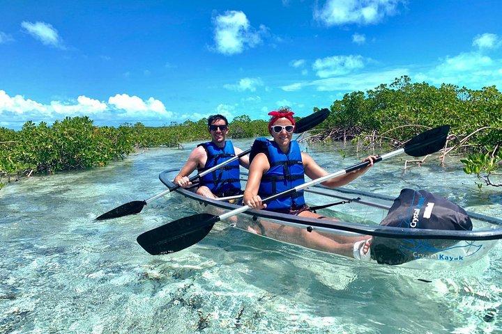 Mangrove & Iguana Clear Kayak Tour
