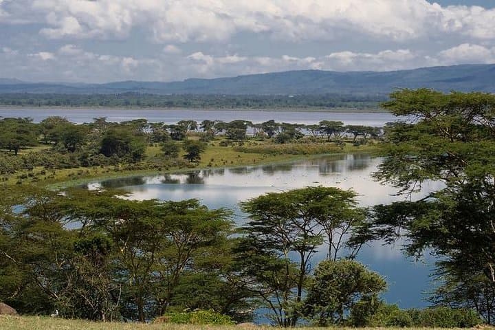 Nairobi to Lake Naivasha Day Tour with Crescent Island