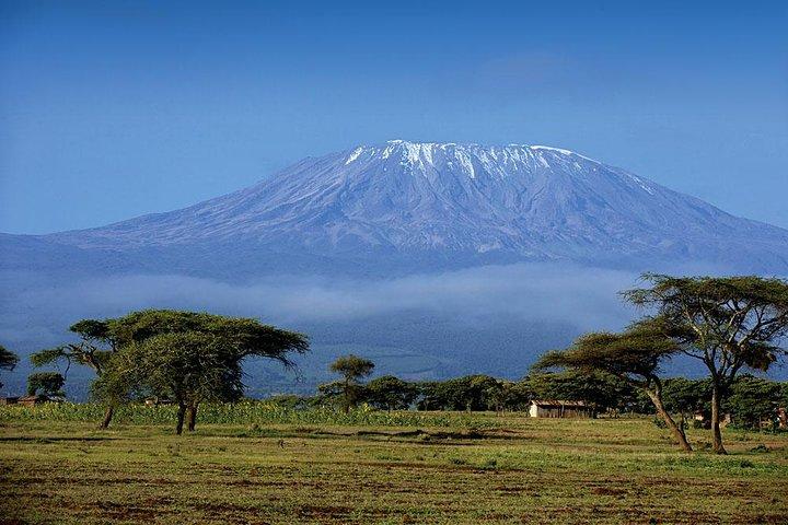 Day trip to Kilimanjaro Hike to Mandara Hut