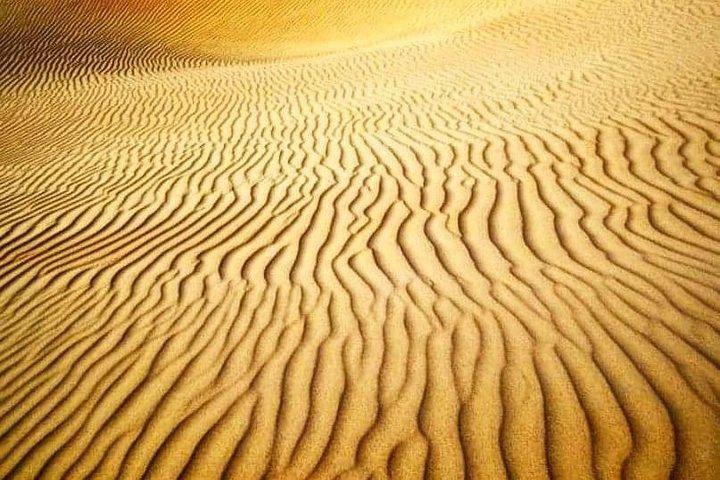 Arabian Night Safari with Camel Ride, Sandboard, BBQ & Live Shows