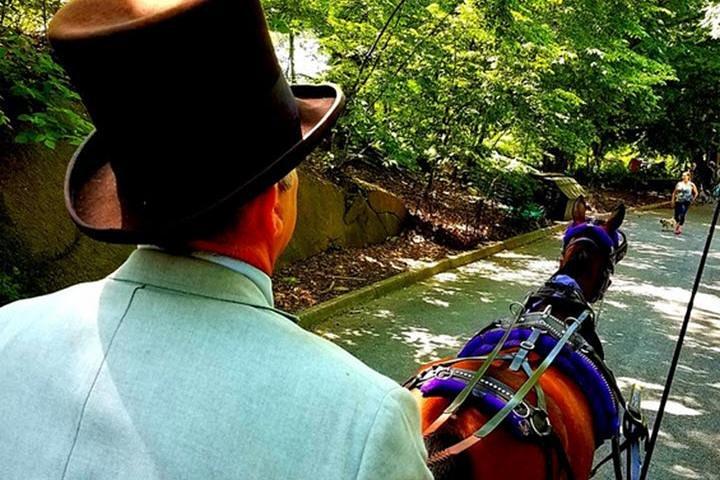 Central Park Private Horse and Carriage Tour