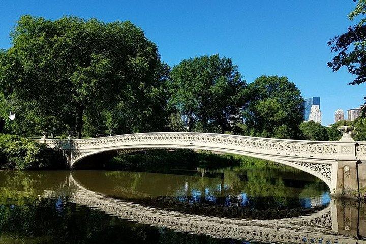 Central Park Private Horse and Carriage Tour
