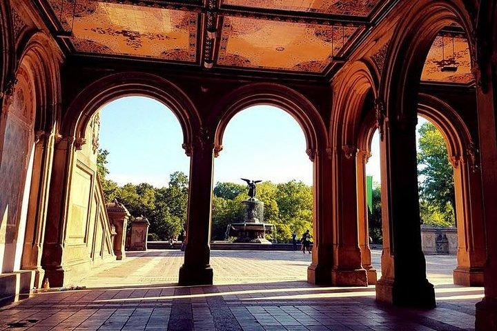 Central Park Private Horse and Carriage Tour