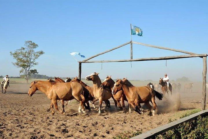 Gaucho Fiesta with lunch - full day tour