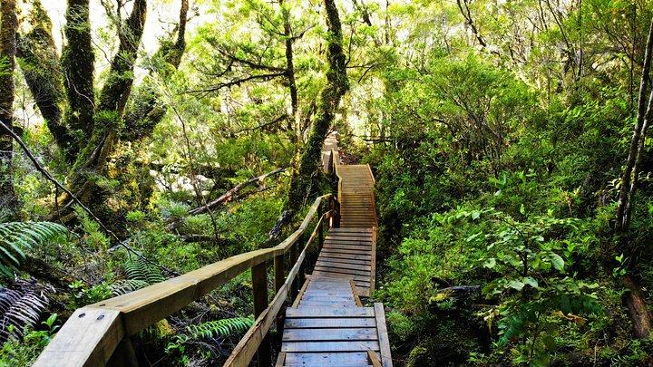 Trekking Alerce Andino National Park