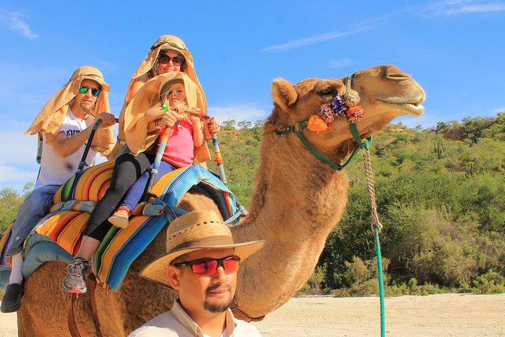 Camel Ride in the Canyon and Thrilling Water Slides and Snacks