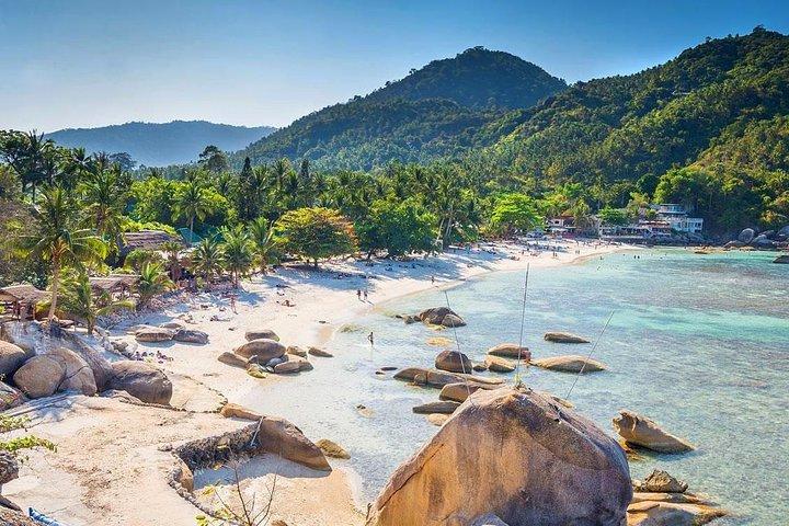 Koh Tao & Koh Nangyuan Snorkeling Tour by Speedboat from Ko Samui