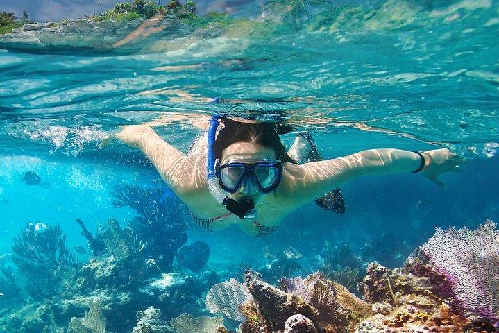 Koh Tao & Koh Nangyuan Snorkeling Tour by Speedboat from Ko Samui