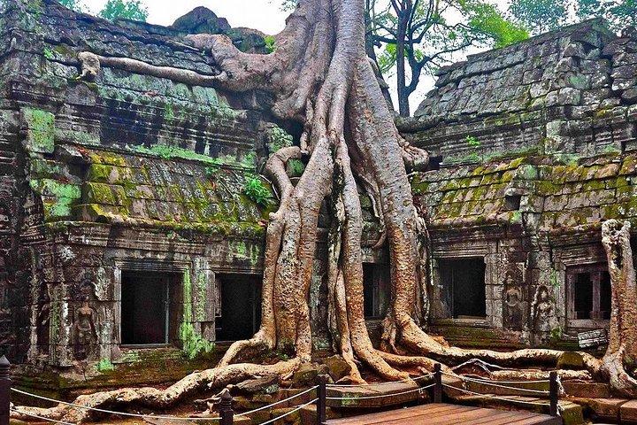 Angkor Wat: Sunrise or Sunset Tours with Tuk Tuk