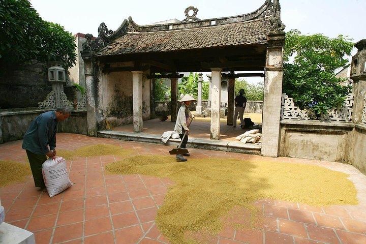 Duong Lam Ancient Village Countryside in Hanoi