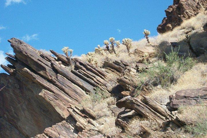 Indian Canyons Hiking Tour by Jeep from Palm Springs