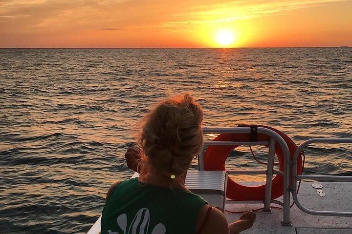 Anna Maria Island Dolphin Sunset Boat Tour