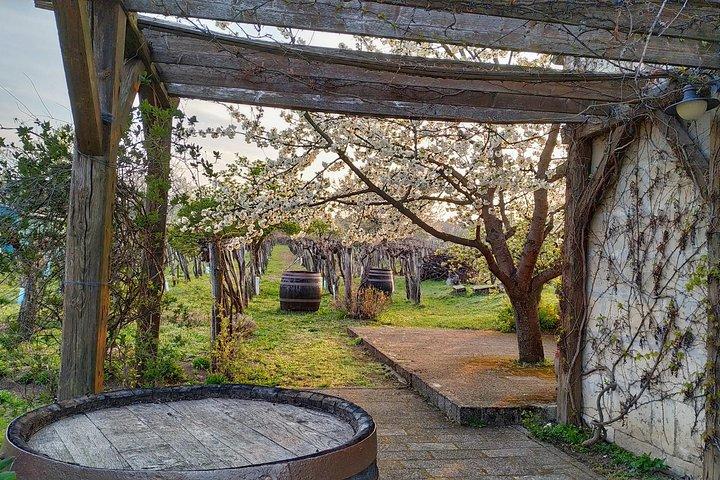 ETYEK wine trip - Just a stone’s throw away from Budapest