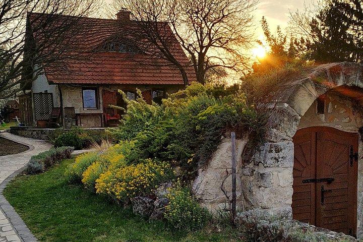 ETYEK wine trip - Just a stone’s throw away from Budapest