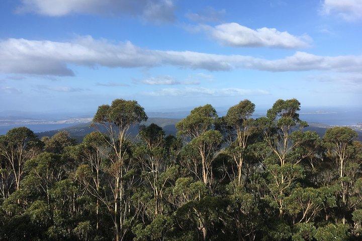 kunanyi/Mt Wellington Explorer Bus - One Way Tour