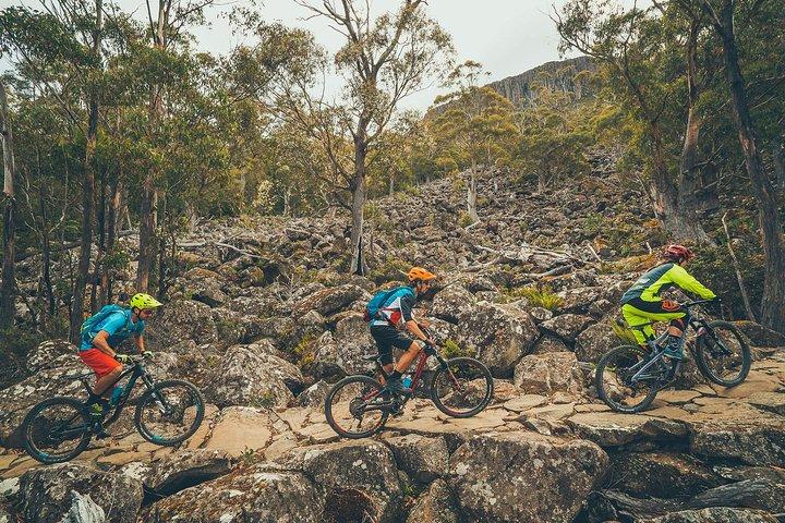kunanyi/Mt Wellington Explorer Bus - One Way Tour