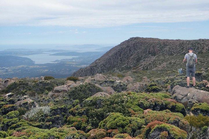 kunanyi/Mt Wellington Explorer Bus - One Way Tour