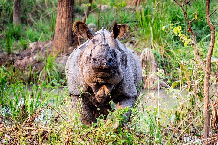 10 Days An Adventurous Nepal Trip - Kathmandu ,Pokhara and Chitwan