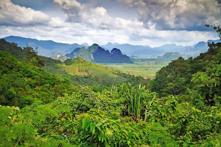 Half Day : Sok River + Monkey Temple + View Point