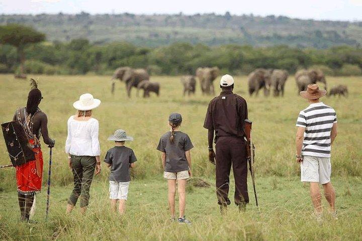 9 Days Tanzania Game Drive and Walking Safari