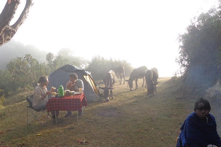 9 Days Tanzania Game Drive and Walking Safari