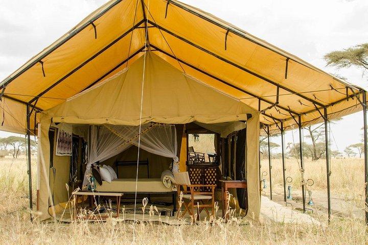 9 Days Tanzania Game Drive and Walking Safari