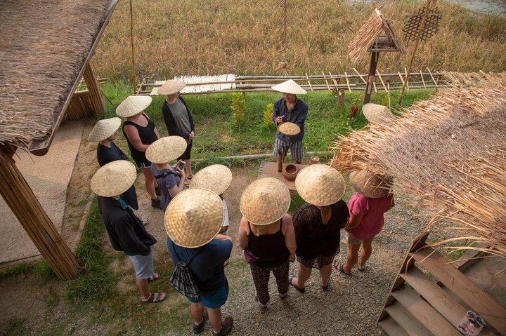 Luang Prabang: Kuang Si Waterfall & Rice Farm Tour