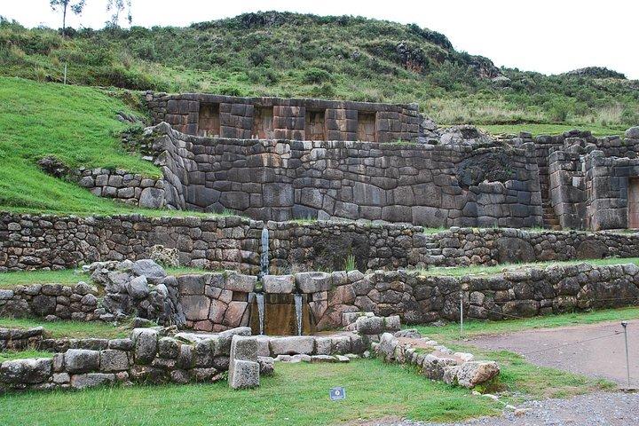 City Tour in Cusco & visit Museum South American Camelid