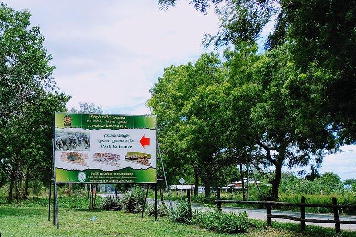 Visit Ella and Udawalawe Safari - 2 Days, All Inclusive