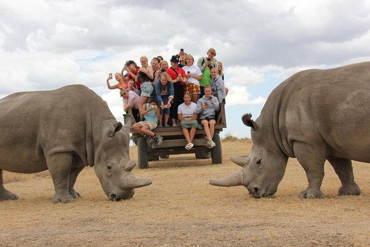 1 Day Olpajeta Conservancy From Nairobi (minimum 2 Pax)