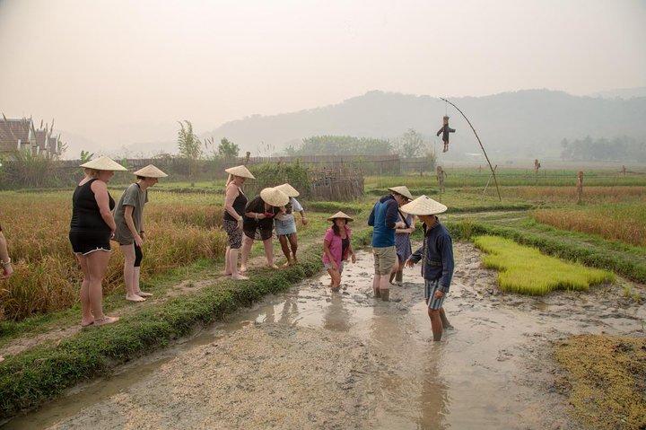 Living Land Rice Farming Experience