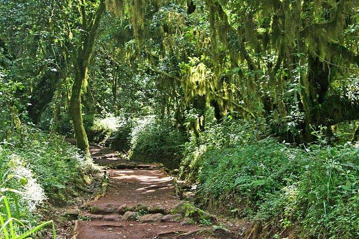 Mt.kilimanjaro-marangu Route