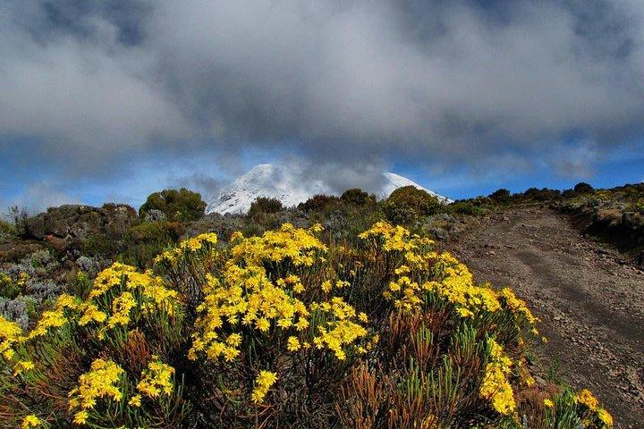 Mt.kilimanjaro-marangu Route