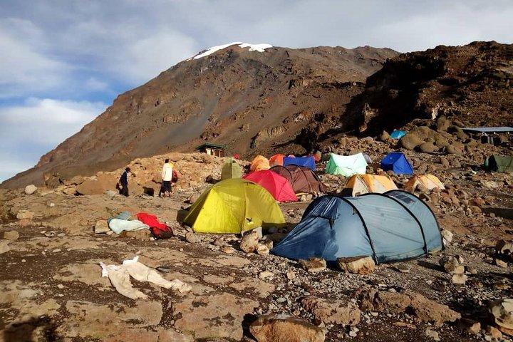 Mt.kilimanjaro Lemosho Route