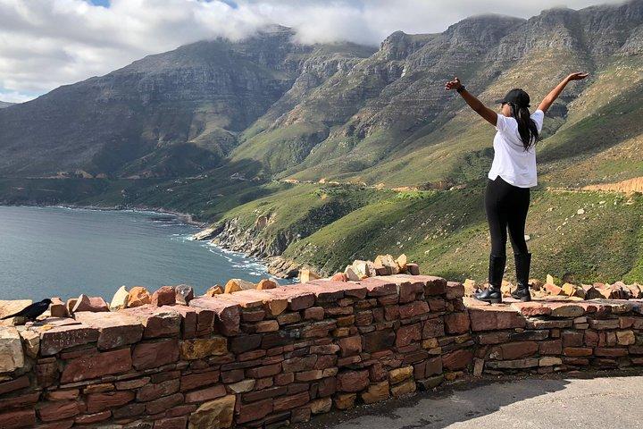 Cape of Good Hope-Penguin-Private Tour Combined With Wine Tasting Full Day Tour