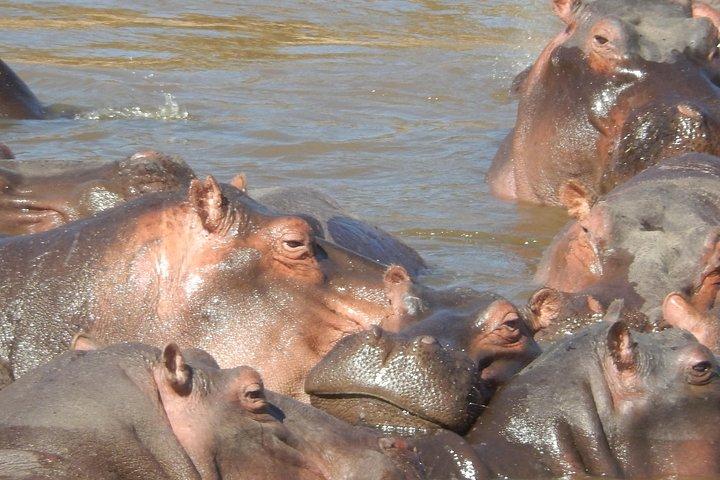 Lake Nakuru National Park Day Tour Via Lake Naivasha