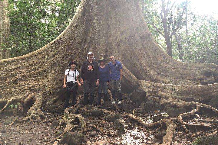 Ho Chi Minh City: Cat Tien National Park Wildlife Adventure 2D1N
