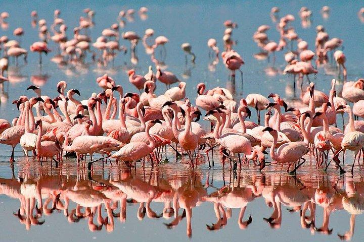 6 days 5 nights safari Ngorongoro, Serengeti and Tarangire National Parks