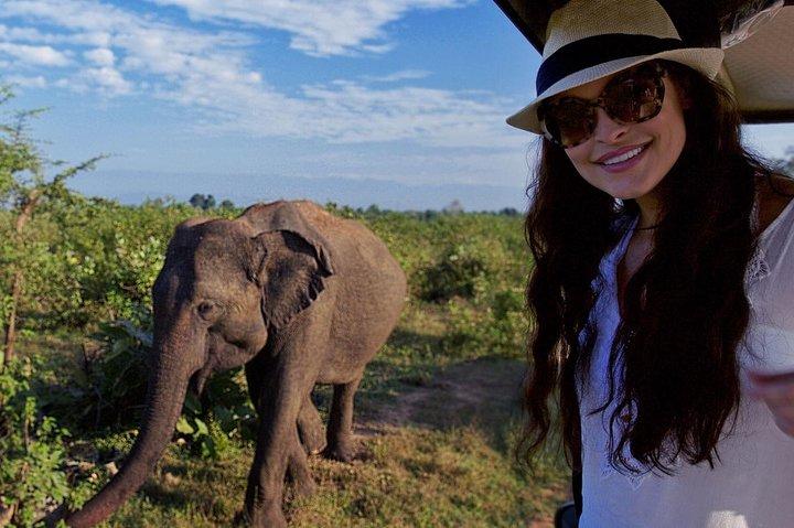 Udawalawe Safari Day Trip with Return Transport - All Inclusive