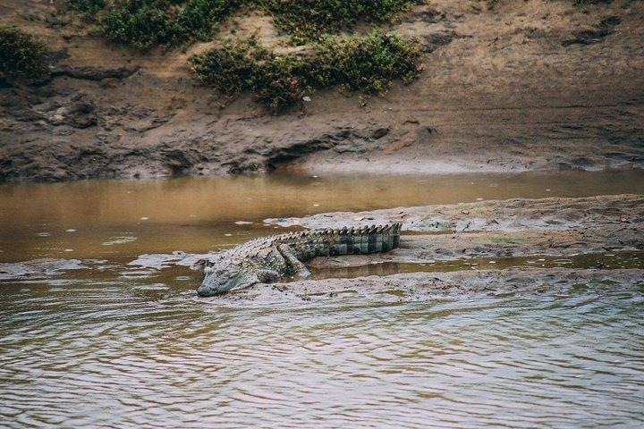 Yala Safari Private Day Trip with Return Transport -All Inclusive