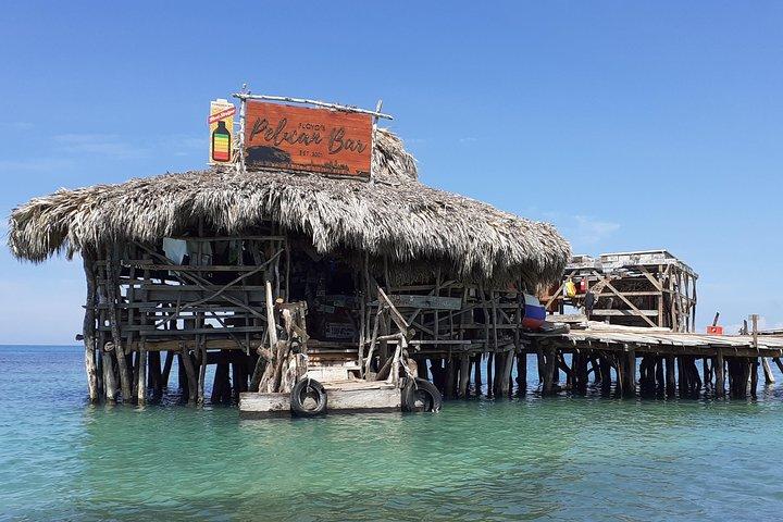 Pelican Bar south coast experience, Appleton Rum Tour and YS Falls