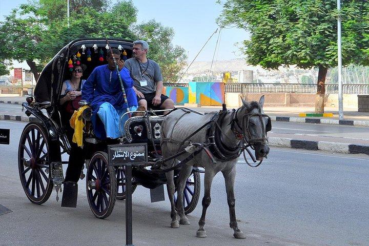 4-Hour Walking and Horse Carriage City Tour of Cairo