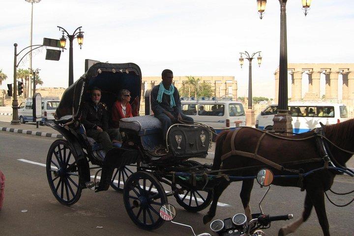 4-Hour Walking and Horse Carriage City Tour of Cairo