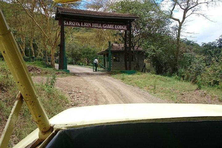 Lake Nakuru National Park Day Tour from Nairobi