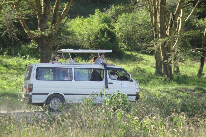 Lake Nakuru National Park Day Tour Via Lake Naivasha