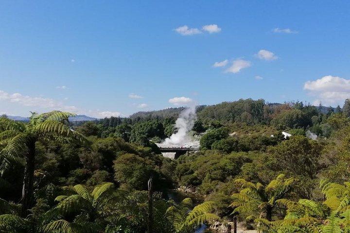 4Day/3Nights Auckland to Wellington Tour