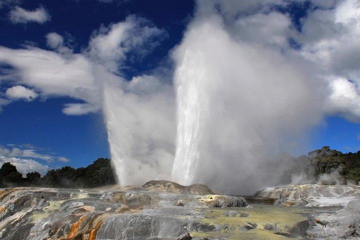 4Day/3Nights Auckland to Wellington Tour