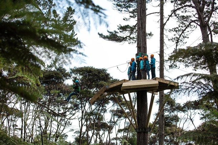 Adventurous Zipline Tour in Coromandel