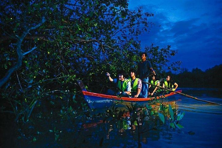 Kuala Selangor Firefly Tour from Kuala Lumpur with Hotel Pickup